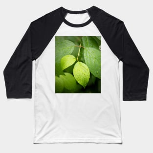 Water drops on green leaves after rain Baseball T-Shirt